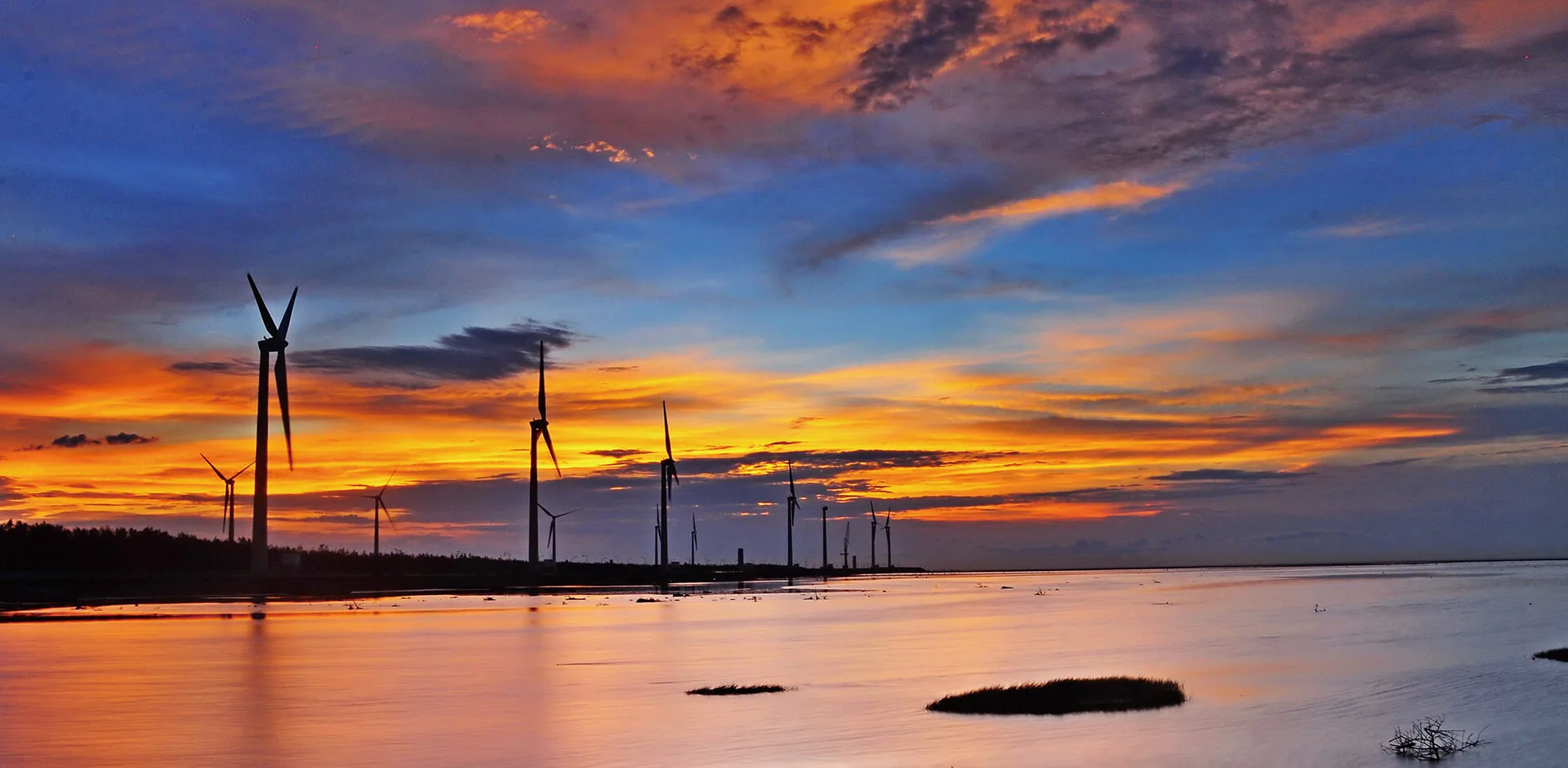 高美濕地-圖片